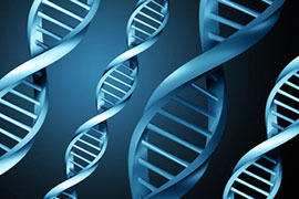 ДНК та клітинні технології