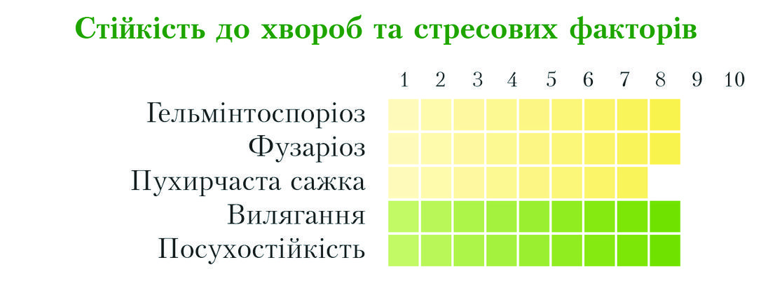 block-img