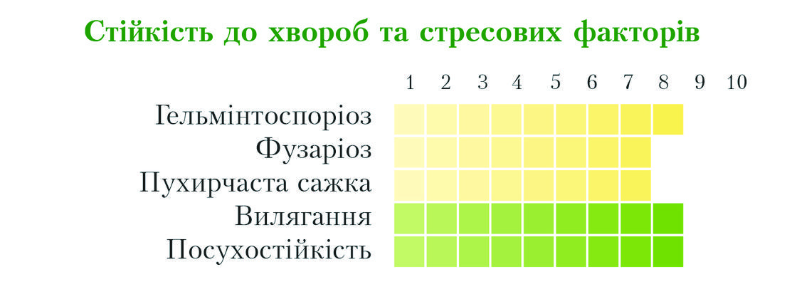 block-img