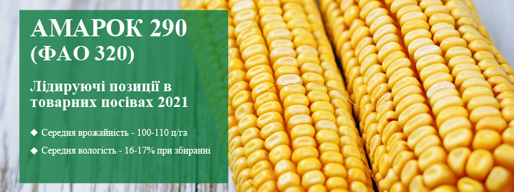 https://vnis.com.ua/catalog/seeds-of-cereals/corn/amarok-290/