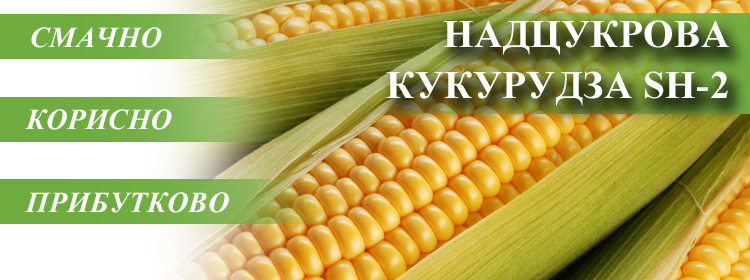 https://vnis.com.ua/catalog/Seeds-of-vegetable-crops/sweet_corn/
