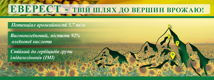 https://vnis.com.ua/catalog/oil-seed/sunflower/everest-visokooleinovii-hybrid/