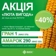 Акція "Люта вигода" — 40% знижки на насіння кукурудзи популярних гібридів
