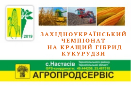 Гібриди кукурудзи ВНІС приймають участь Західноукраїнському чемпіонаті на кращий гібрид кукурудзи